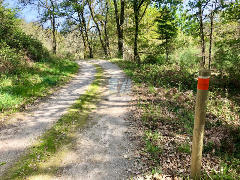 mejor ruta por rio barbantiño Orense donde empieza la ruta por rio barbarizo