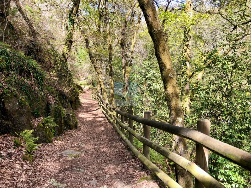 mejor ruta por el rio barbantiño Ourense galicia pasarela de madera en ruta rio barbantiño Orense galicia