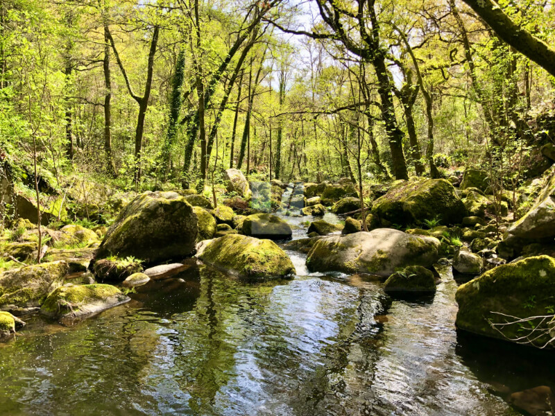 belleza del paisaje del rio barbantiño entorno natural del rio barbantiño orense
