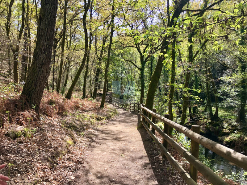 merece la pena la ruta del rio barbantiño en Orense galicia que mas visitar cerca del castro de Santa Mariña