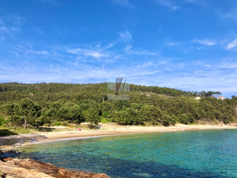 cuales son las mejores playas gallegas en 2022